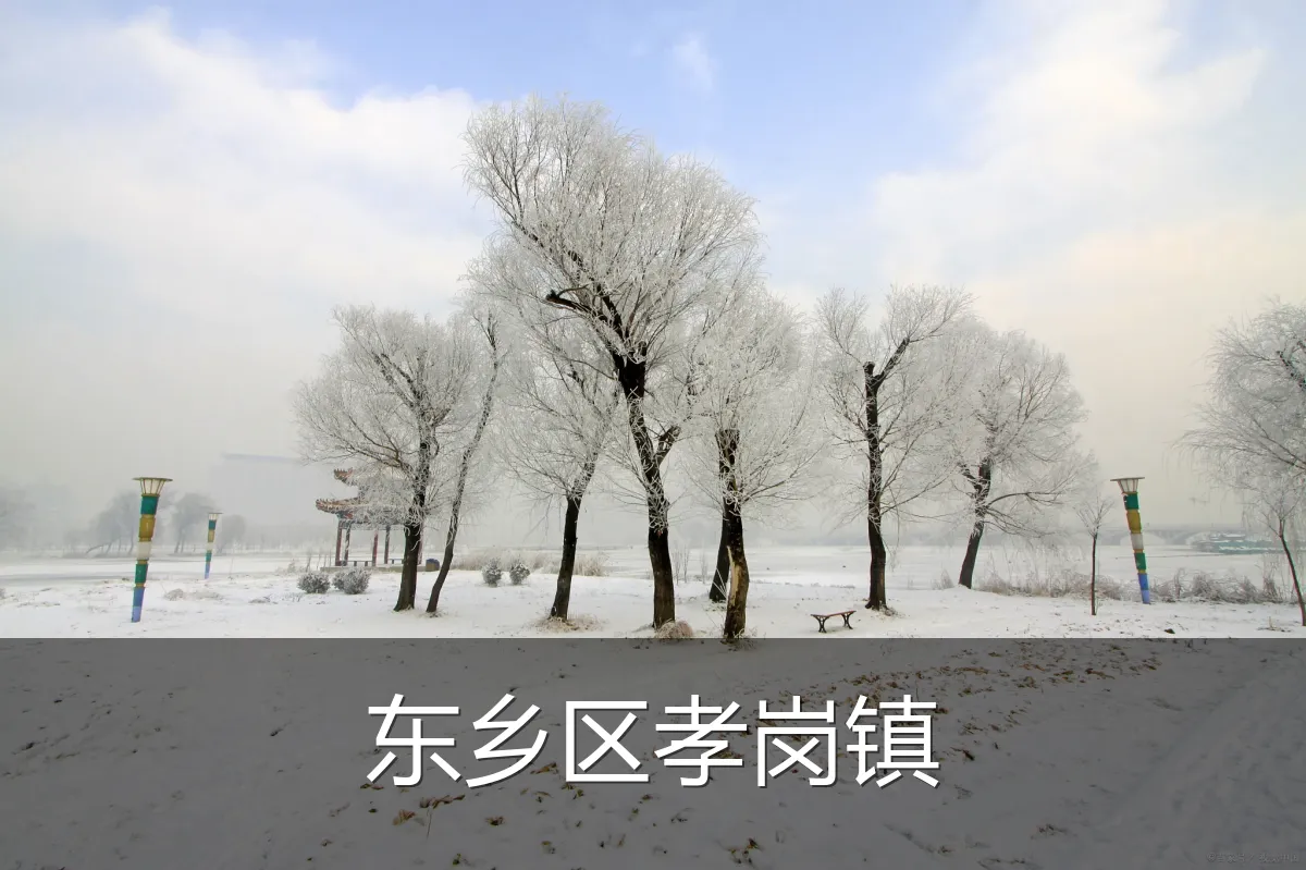 东乡区孝岗镇